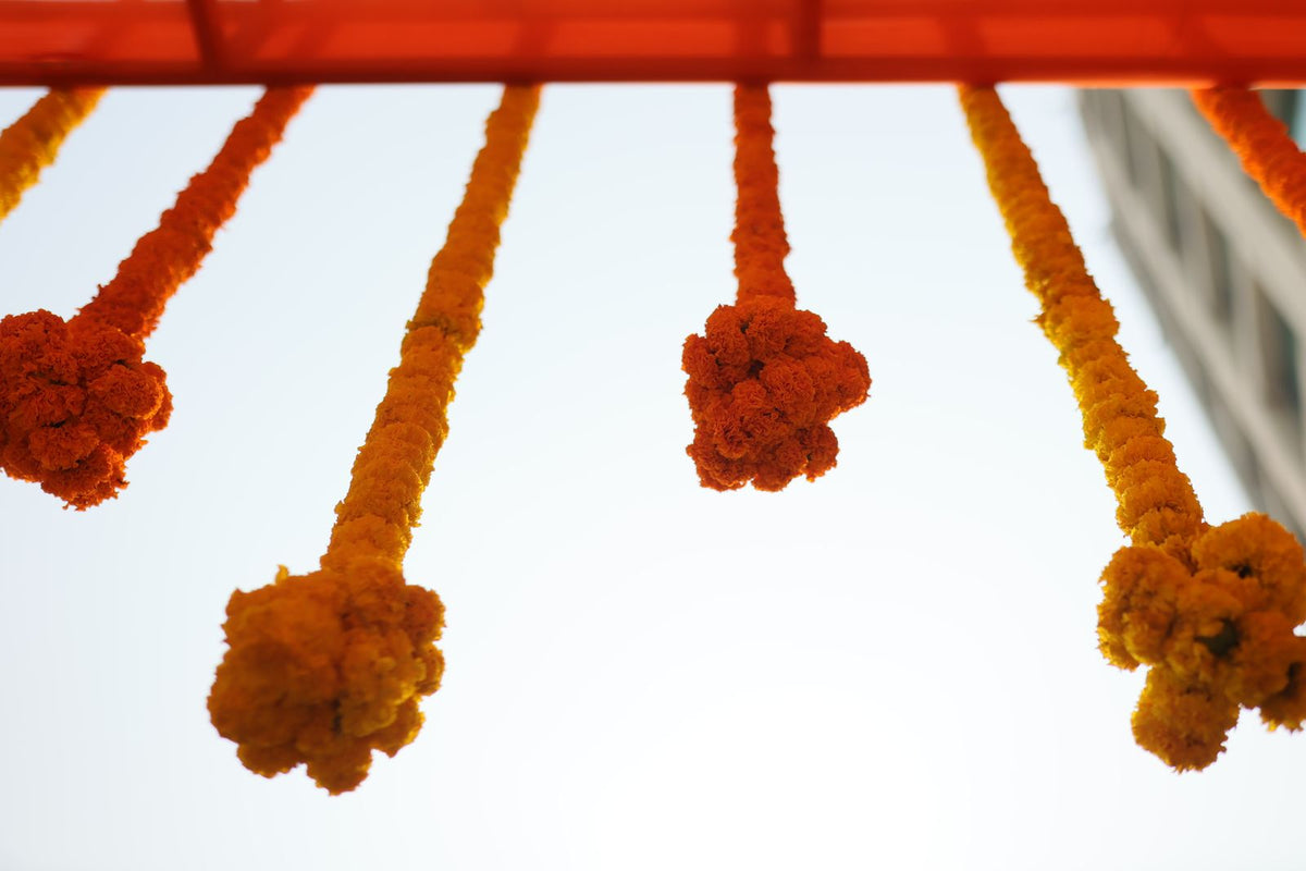 Marigold garlands against a clear sky as India's festive and layering season begins